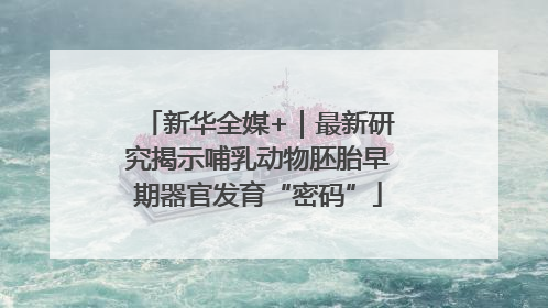 新华全媒+｜最新研究揭示哺乳动物胚胎早期器官发育“密码”