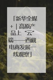 新华全媒+｜高原产品上“云”端——西藏电商发展一线观察