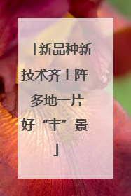新品种新技术齐上阵 多地一片好“丰”景