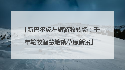 新巴尔虎左旗游牧转场：千年轮牧智慧绘就草原新景