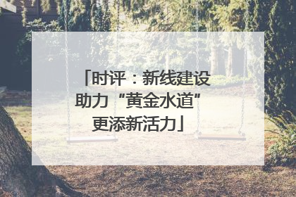 时评：新线建设助力“黄金水道”更添新活力