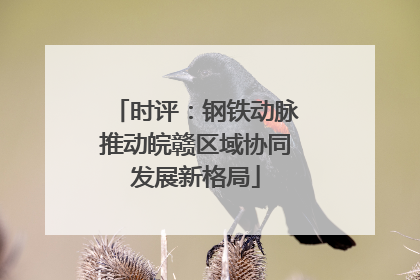 时评：钢铁动脉推动皖赣区域协同发展新格局