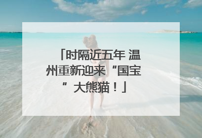 时隔近五年 温州重新迎来“国宝”大熊猫！