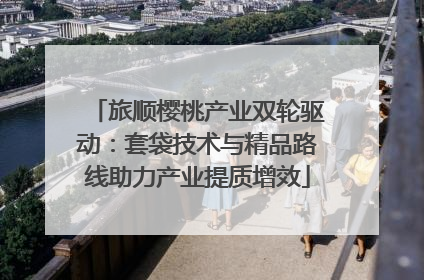 旅顺樱桃产业双轮驱动：套袋技术与精品路线助力产业提质增效