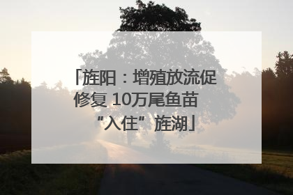 旌阳：增殖放流促修复 10万尾鱼苗“入住”旌湖