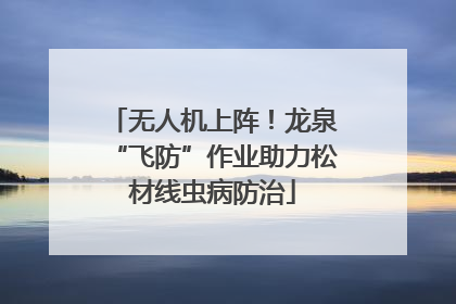 无人机上阵！龙泉“飞防”作业助力松材线虫病防治