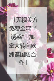 无视美方免费金穹“诱惑” 加拿大转向欧洲谋国防合作