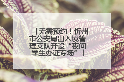 无需预约！忻州市公安局出入境管理支队开设“夜间学生办证专场”