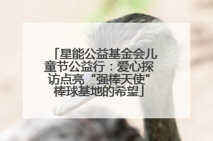 星能公益基金会儿童节公益行：爱心探访点亮“强棒天使”棒球基地的希望