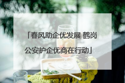 春风助企优发展 鹤岗公安护企优商在行动