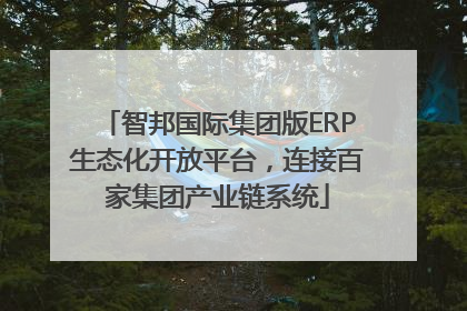 智邦国际集团版ERP生态化开放平台，连接百家集团产业链系统