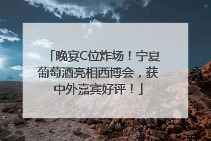 晚宴C位炸场！宁夏葡萄酒亮相西博会，获中外嘉宾好评！