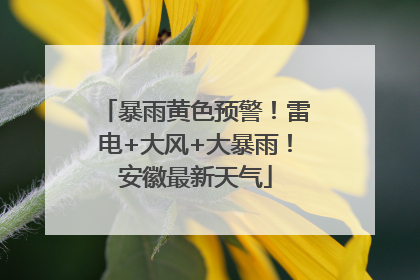 暴雨黄色预警！雷电+大风+大暴雨！安徽最新天气