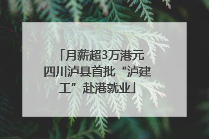 月薪超3万港元 四川泸县首批“泸建工”赴港就业