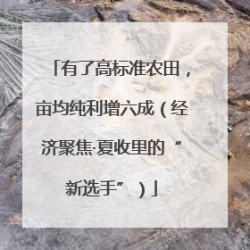 有了高标准农田，亩均纯利增六成（经济聚焦·夏收里的“新选手”）