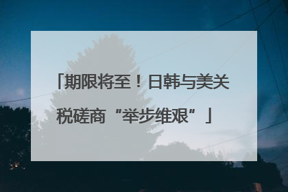 期限将至！日韩与美关税磋商“举步维艰”