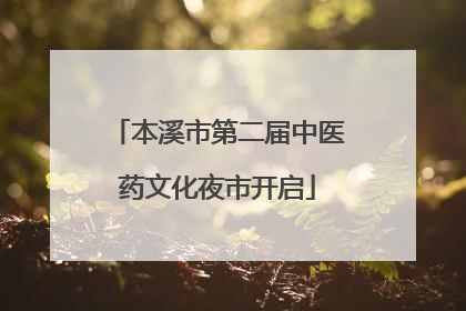 本溪市第二届中医药文化夜市开启