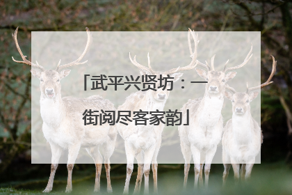 武平兴贤坊：一街阅尽客家韵