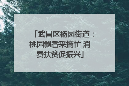 武昌区杨园街道：桃园飘香采摘忙 消费扶贫促振兴