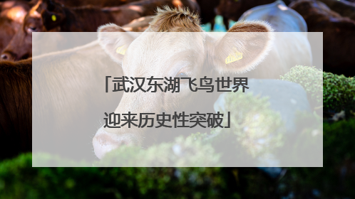 武汉东湖飞鸟世界迎来历史性突破
