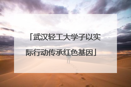 武汉轻工大学子以实际行动传承红色基因