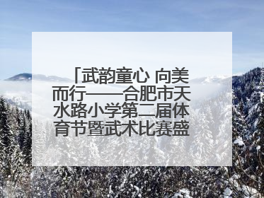 武韵童心 向美而行——合肥市天水路小学第二届体育节暨武术比赛盛大开幕