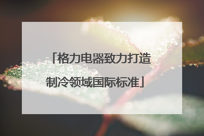 格力电器致力打造制冷领域国际标准