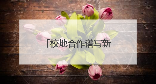校地合作谱写新篇章，武汉大学·咸宁低空经济创新研究院签约成立