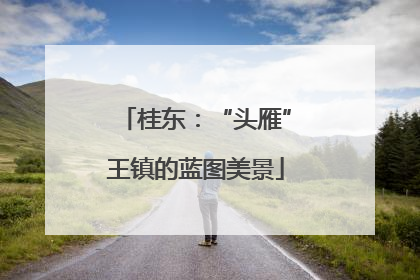 桂东：“头雁”王镇的蓝图美景