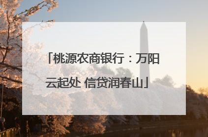 桃源农商银行：万阳云起处 信贷润春山