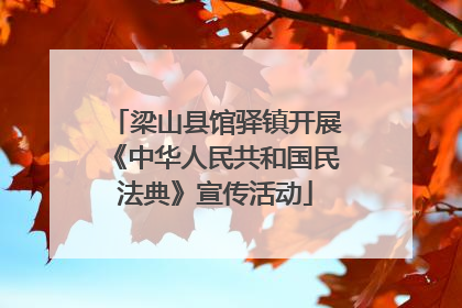 梁山县馆驿镇开展《中华人民共和国民法典》宣传活动