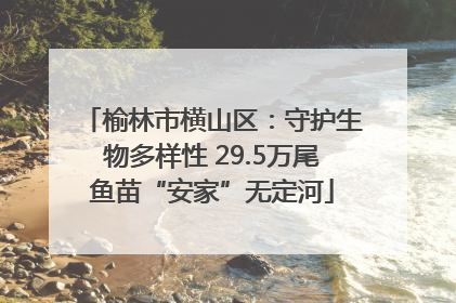 榆林市横山区：守护生物多样性 29.5万尾鱼苗“安家”无定河