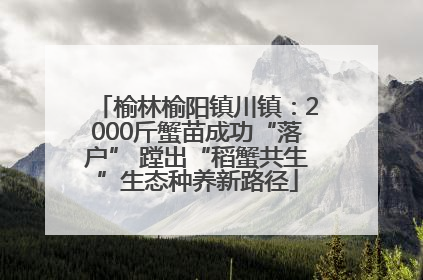 榆林榆阳镇川镇：2000斤蟹苗成功“落户” 蹚出“稻蟹共生”生态种养新路径