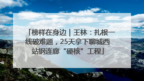 榜样在身边｜王林：扎根一线破难题，25天拿下聊城西站钢连廊“硬核”工程