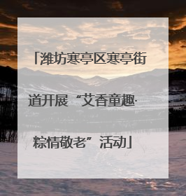 潍坊寒亭区寒亭街道开展“艾香童趣·粽情敬老”活动