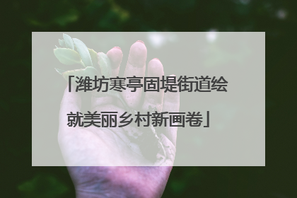 潍坊寒亭固堤街道绘就美丽乡村新画卷