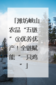潍坊峡山农品“五链”③优养优产！全链赋能“一只鸡”