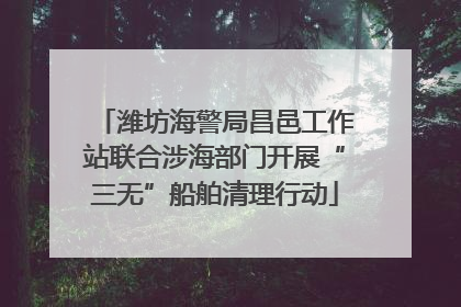 潍坊海警局昌邑工作站联合涉海部门开展“三无”船舶清理行动