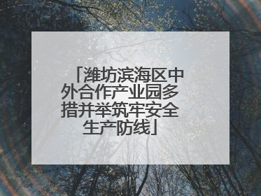 潍坊滨海区中外合作产业园多措并举筑牢安全生产防线