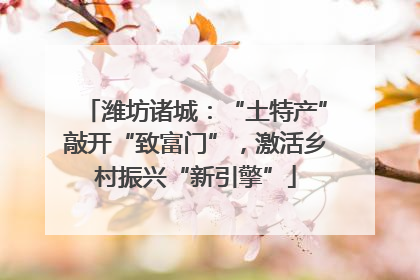 潍坊诸城：“土特产”敲开“致富门”，激活乡村振兴“新引擎”