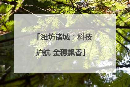 潍坊诸城：科技护航 金穗飘香