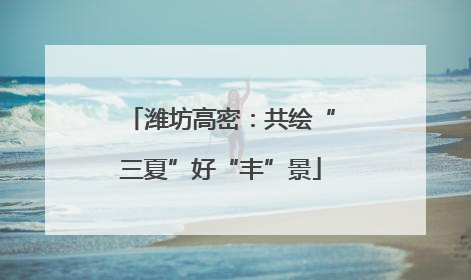 潍坊高密：共绘“三夏”好“丰”景