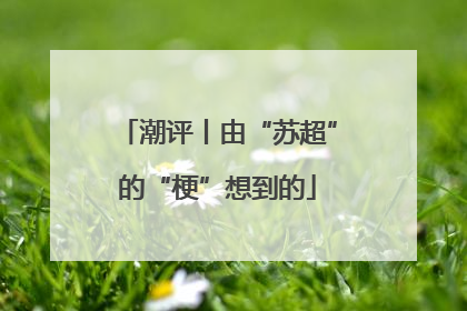 潮评丨由“苏超”的“梗”想到的