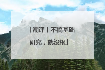 潮评丨不搞基础研究，就没根