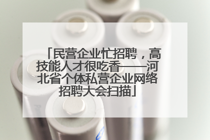 民营企业忙招聘，高技能人才很吃香——河北省个体私营企业网络招聘大会扫描
