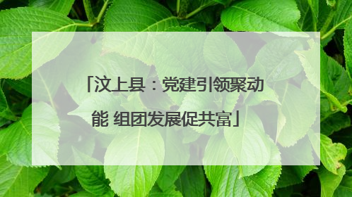 汶上县：党建引领聚动能 组团发展促共富