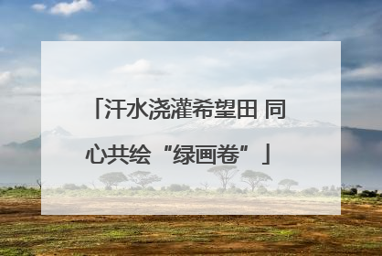 汗水浇灌希望田 同心共绘“绿画卷”