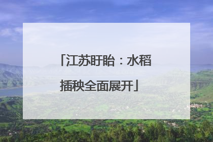 江苏盱眙：水稻插秧全面展开