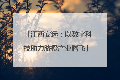 江西安远：以数字科技助力脐橙产业腾飞