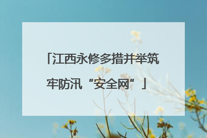 江西永修多措并举筑牢防汛“安全网”